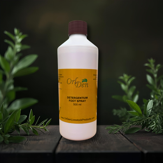 OrlDen Foot Spray 500ml